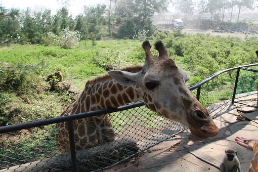 Finding Bliss In South Africa