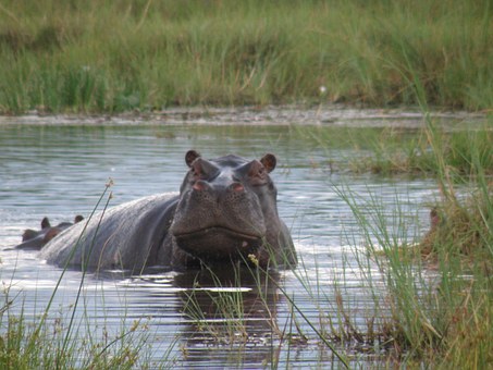 Holiday Deals To Tusisia