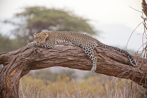 Tourist Attractions in Namibia