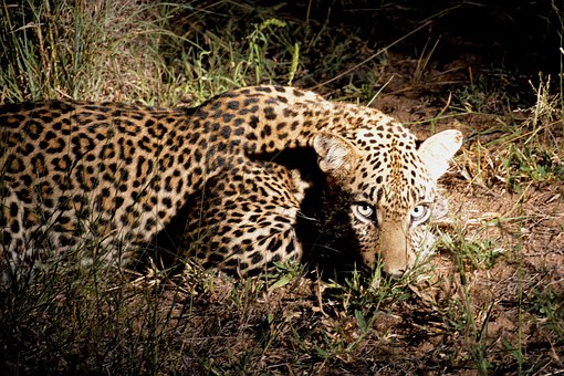 Zambia Tourist Information