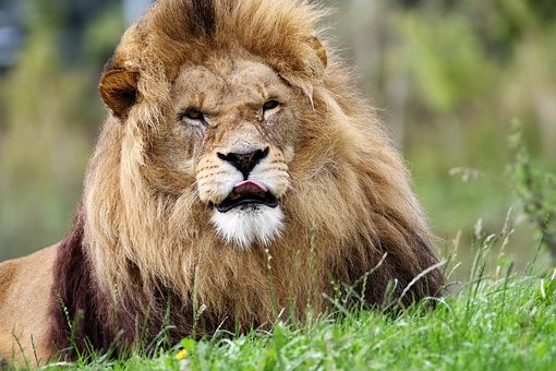 10 Ideas for Family Holidays in Florida, USA by:Orson Johnson
