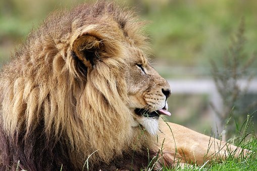 Flights To Johannesburg-complete Holidays
