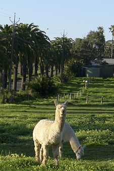 Choosing Land for Sale in Australia