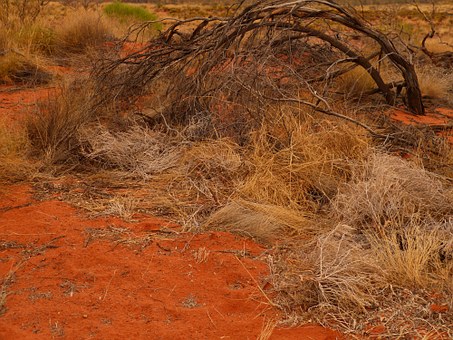 Visit Broken Hill For A Great Australian Outback Experience