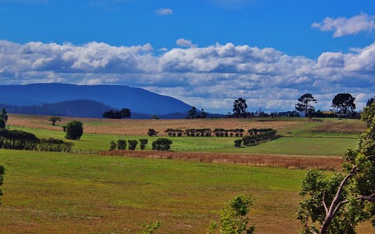 5 Tips To Help You Plan Your Christmas Holiday In Australia