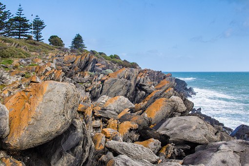 Three Places You Must See While Studying in Australia by:Ralph Gray