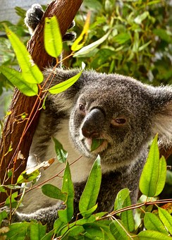 Green Gifting – How to make a difference this Christmas