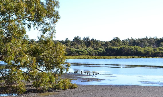 7 Of Australia's Most Famous Exports