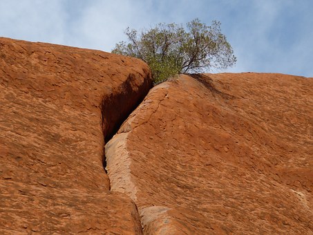 Top 5 Wilderness Holiday Destinations In Australia