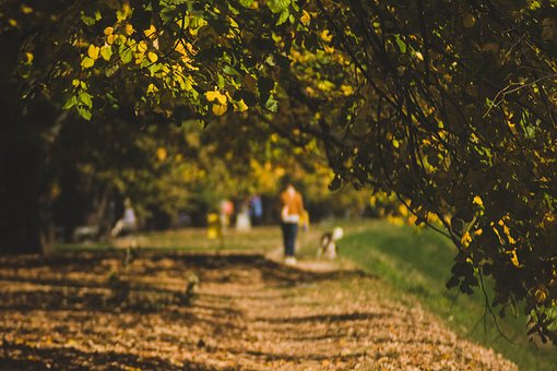 Professional Help for Settling Family Disputes
