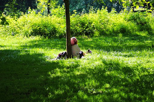 Explore The Wonders Of Essex With Your Family