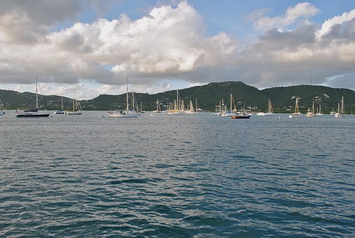 Boat Hire in Dubai- the perfect choice for marine life enthusiasts