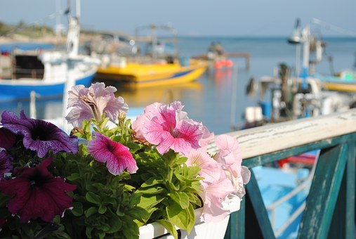 Expert Ways To Generate Boats Full Of Website Visitors With Facebook Fan Pages