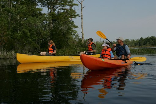 Boat Hire in Dubai- the perfect choice for marine life enthusiasts
