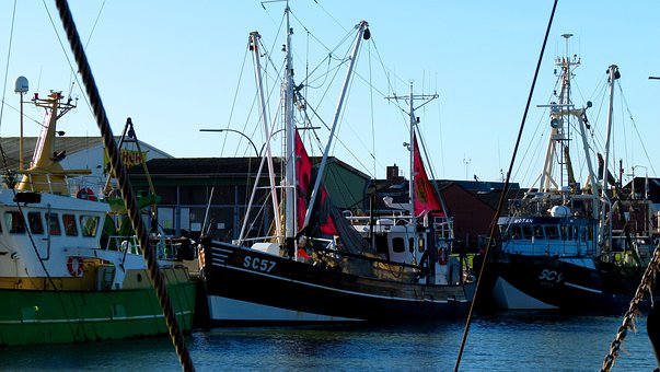 Are You Looking For Hiring A Boat?
