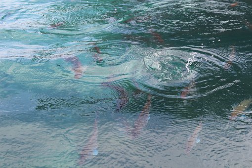 Importance Of Installing Gas Detectors In The Boats