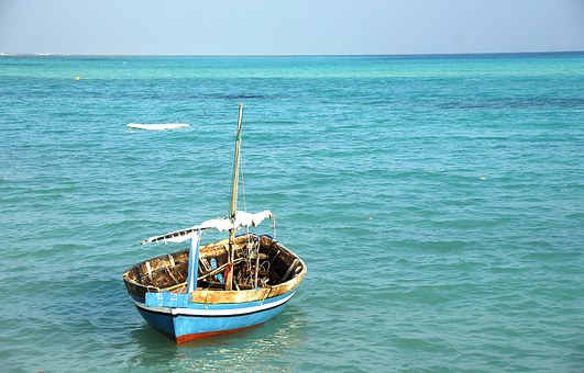 Fishes And Boats