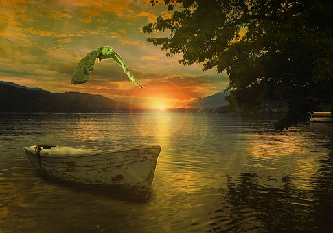 Work-boats Can Be A Great Option For Business Owners