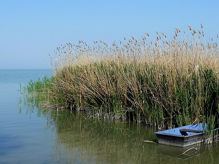 Xi'an China Stocking Billion Dollars Ough S Replacement-day Business With Dragon Fishing Boat Event