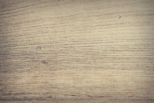 Starting Up A Photography Business Successfully