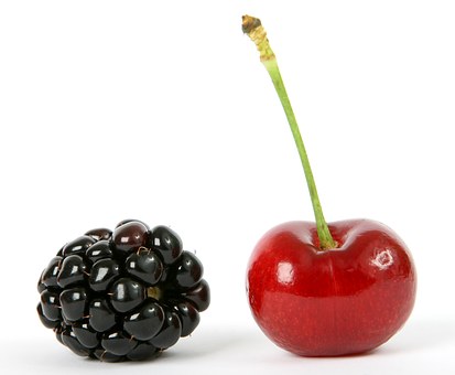Starting Up Your Own Web Business Basic Suggestions To Follow