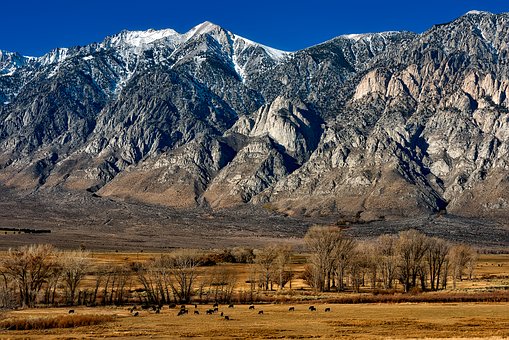 Twain's Travels Through Tahoe