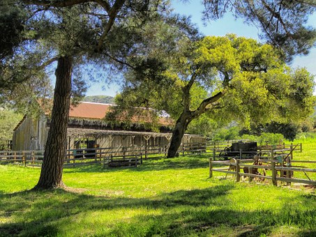 Adventure On The Cheap: Turlock, Ca