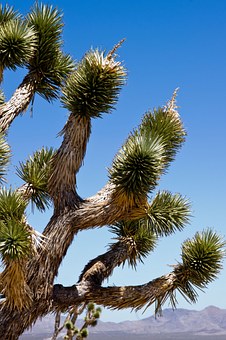 California's Top Kayak Tours