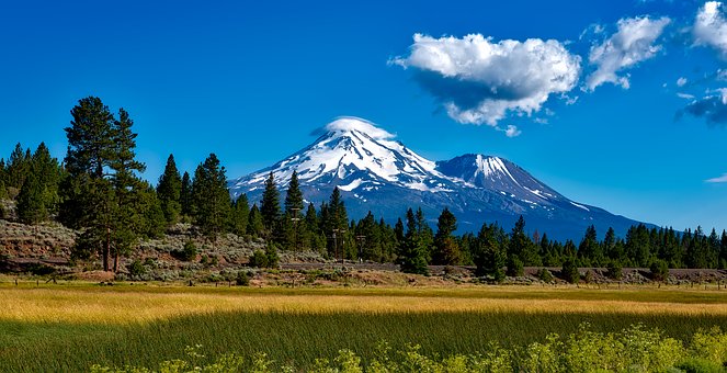 The green revolution in the US is coming, and the current green investments will transform the country for ever