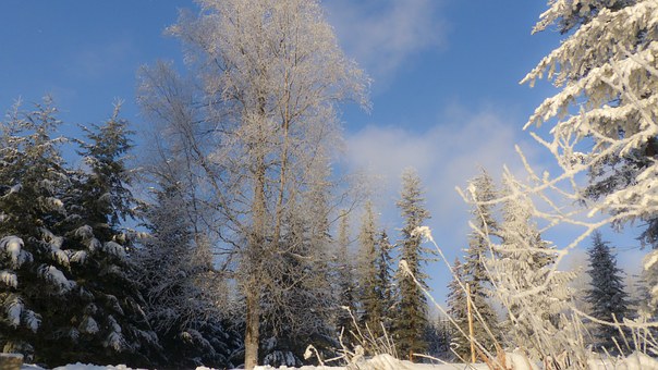 An Alaska Travel Guide May Be A Great Way To Plan Your Trip