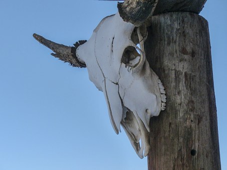 Connect With Our Closest Neighbors - Natural Sites To Discover In Canada by:Ben Pate