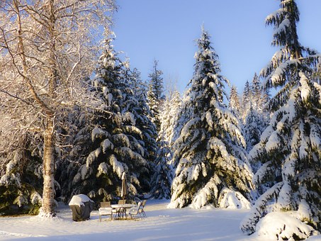 Low-cut Holiday Packages To Elate You: Rooms, Air Tickets, Eating Areas, Stores, Enjoyment, And Club