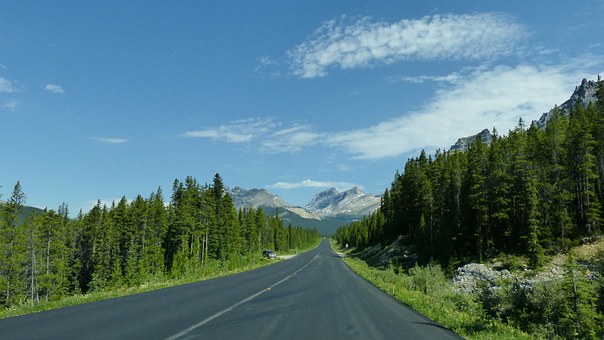 Why choose an expedition cruise over a land package or chose both depending upon the destination
