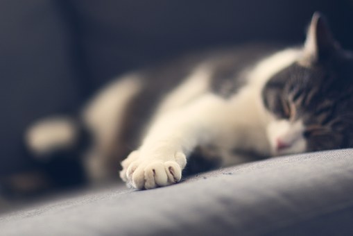 Pet Mould: How Modern Machines Help A Mold Making Company?