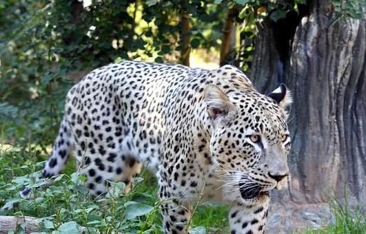 5 Quirky Traditions To Watch Out For On Your Peru Vacation by:Gary Sargent