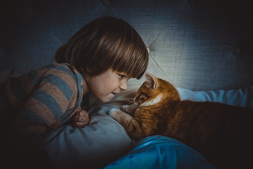 Doctors Should Learn Effective Communication Skills