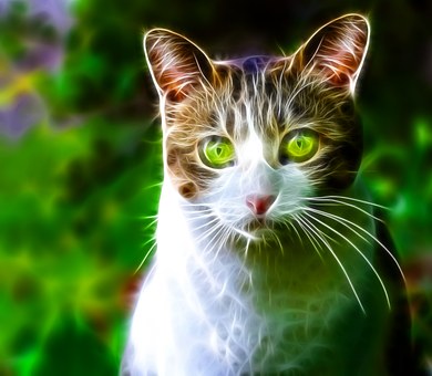 Getting A Hearing Test For Your Pet