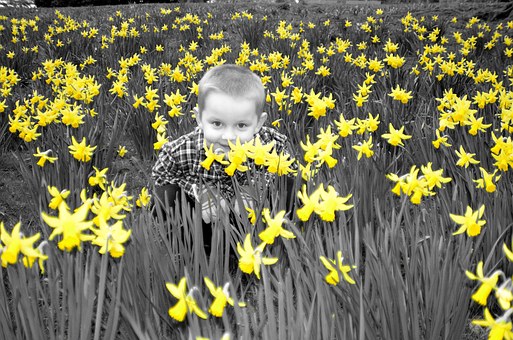 Pdd Child - 5 Easy Techniques For Parents Succeeding With Pervasive Developmental Delays (PDD)