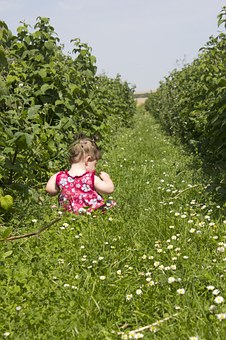Babysitter Resources - Find a Wonderful Helper Online!