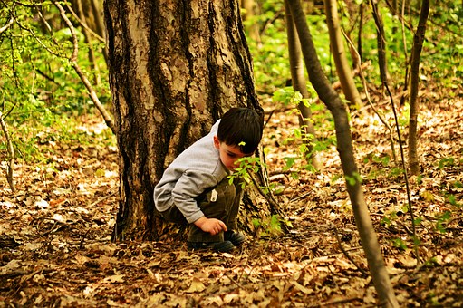 Outdoor Playground An Excellent Place For Kids Recreation