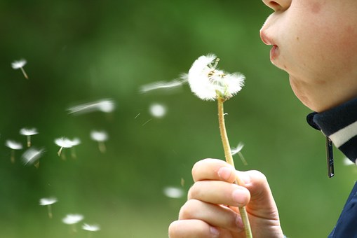 Encouraging Your Children To Save