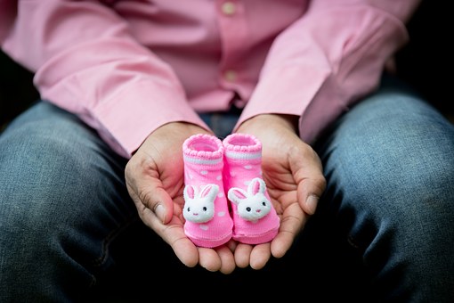 New York State Child Support