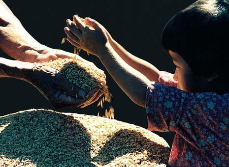 Toys Play An Important Roll In Childhood Development