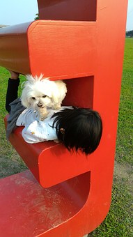 Summer Camp - Coping With Separation Anxiety While Your kid is by the side of Camp