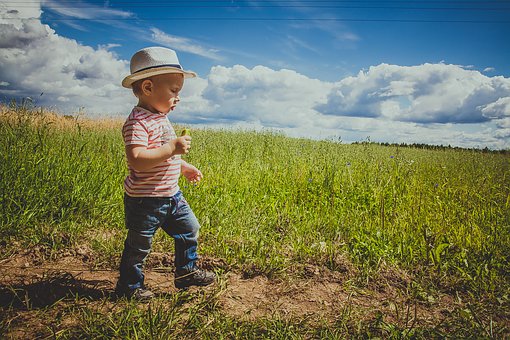 The Joy Of An Ex - Parenting Your Children Through Divorce