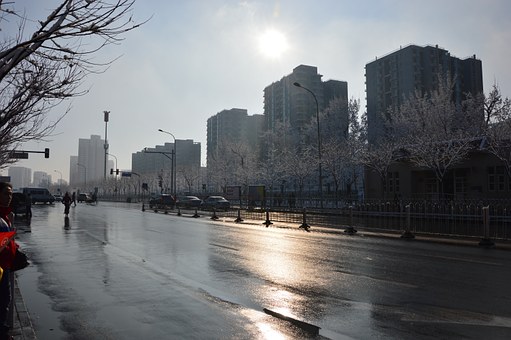 Heilongjiang Provincial Finance Department Director: Let The Policy Sunny Countryside