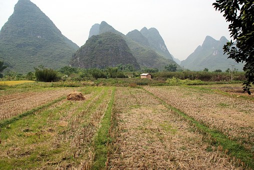 Get Authentic Chinese Massage When Travelling To China