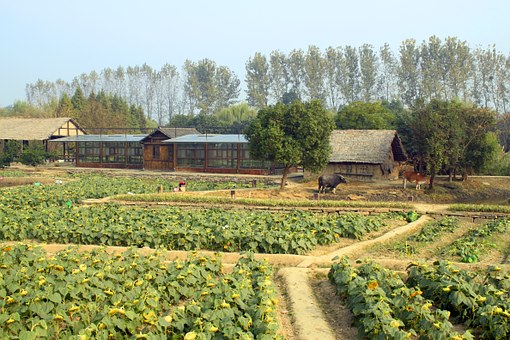 Jizhou Spring Group Launched Yj