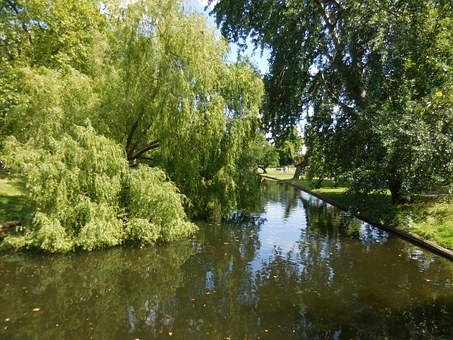 Lodges for Sale at Limefitt Holiday Park