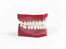 Dentists and Oral Surgeons: The Difference Between The Two